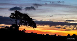 East Coast Sunset