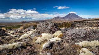 Mount Ngauruhoe Summer