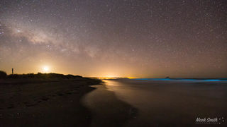 Ohiwa Bioluminescence