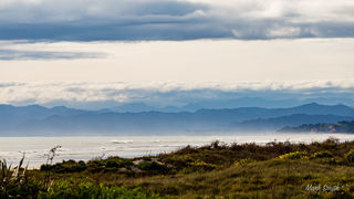 Ohope Beach