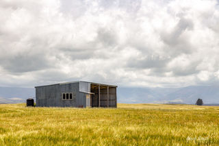 South Canterbury Shed
