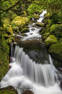 Wairere Falls