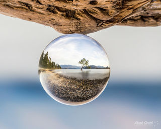 Wanaka Tree Glass Ball