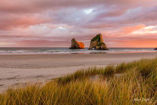 Wharariki Beach Dunes