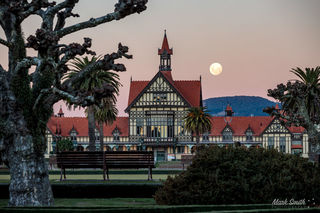 Government Gardens Full Moon
